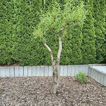 U Vrbičky - Blízko Prahy