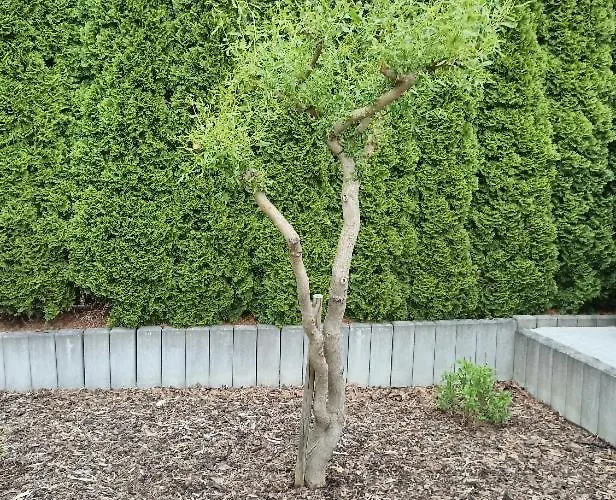 U Vrbicky - Blizko Prahy